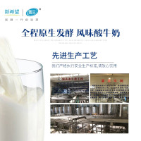 雪兰丹麦童话风味酸牛奶 儿童学生营养酸奶整箱送礼 200g*12