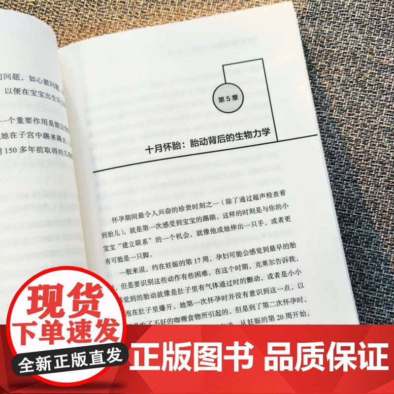 造人 硬核指南 大胆发问 严谨求证 人类幼崽天生就是物理学家 迈克尔班克斯著 中信出版社图书 正版高清大图