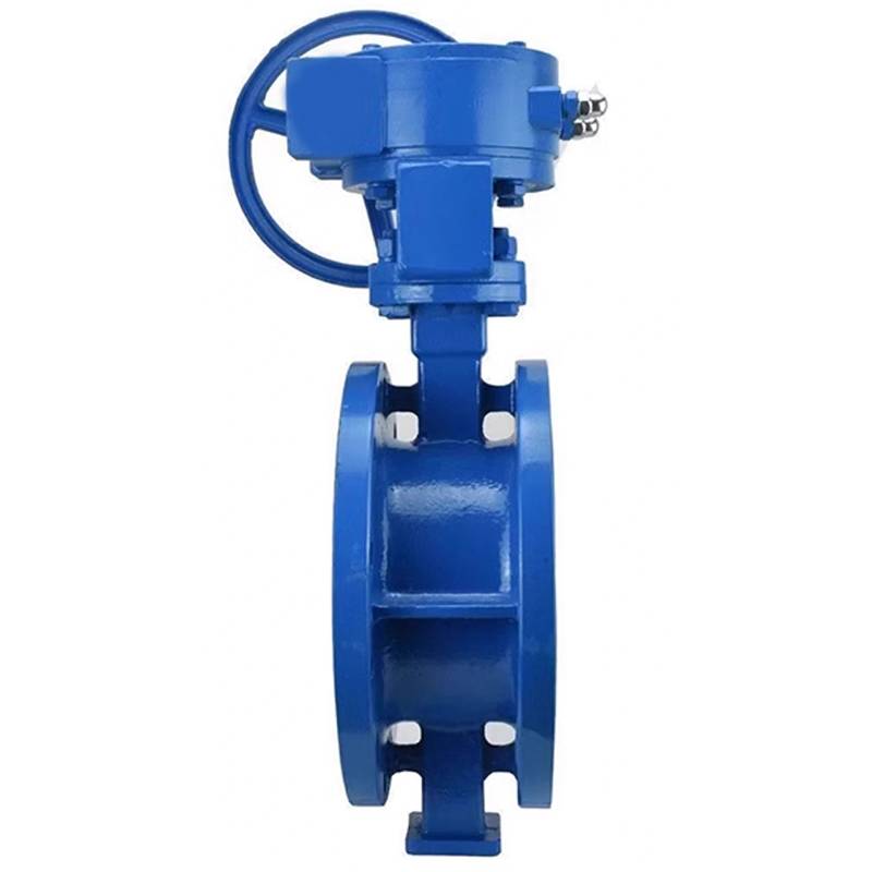 智铮朗月 硬密封法兰蝶阀 D343H-16C DN250 个高清大图