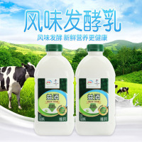 伊利益消酸奶原味大桶装酸奶冷藏运输
