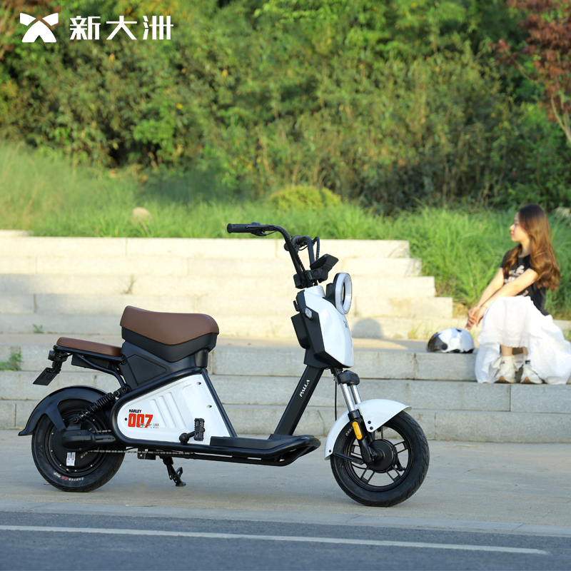 派乐palla007新国标48v24ah可提锂电电动自行车长续航潮酷时尚成人