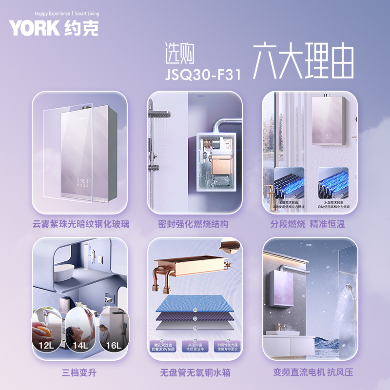约克(YORK)燃气热水器16L家用强排恒温变频智控节能省气JSQ30-F31高清大图