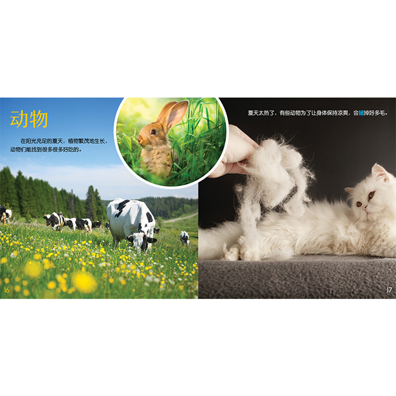 3-8岁[天气变变变]共4本,5折 [正版]童书科学绘本天气变变变共4本4-8岁儿童课外书籍气象学科家庭阅读阳光风雨