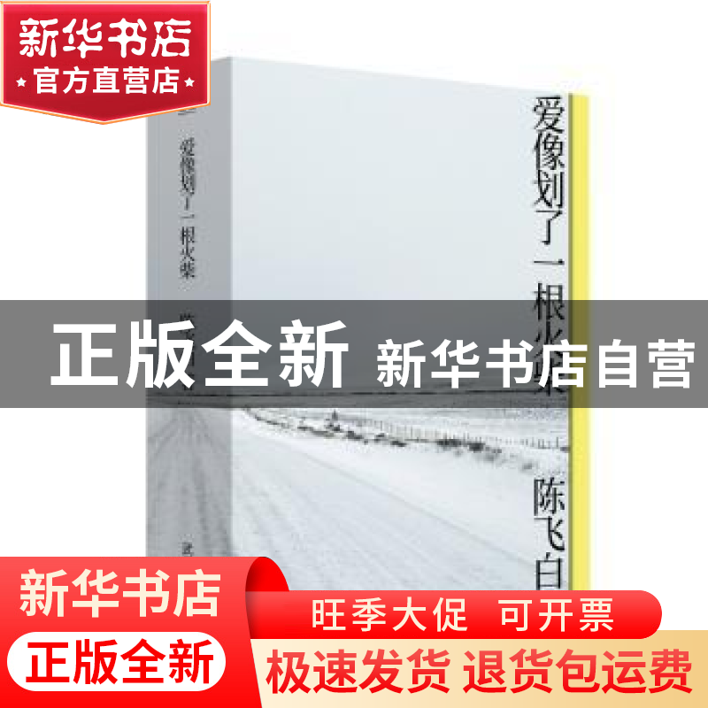 正版 爱像划了一根火柴 陈飞白 武汉大学出版社 9787307215856 书高清大图
