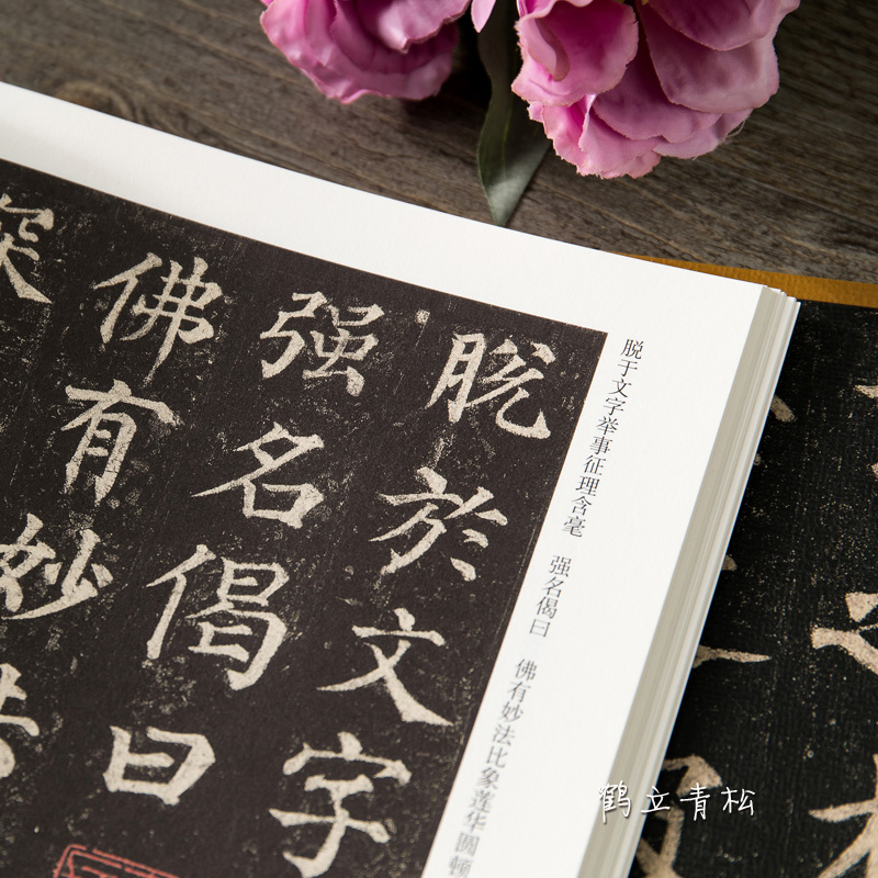 唐颜真卿多宝塔碑原帖 历代碑帖精粹 简体旁注 碑帖楷书毛笔书法字帖 杜浩 多宝塔原贴高清大图