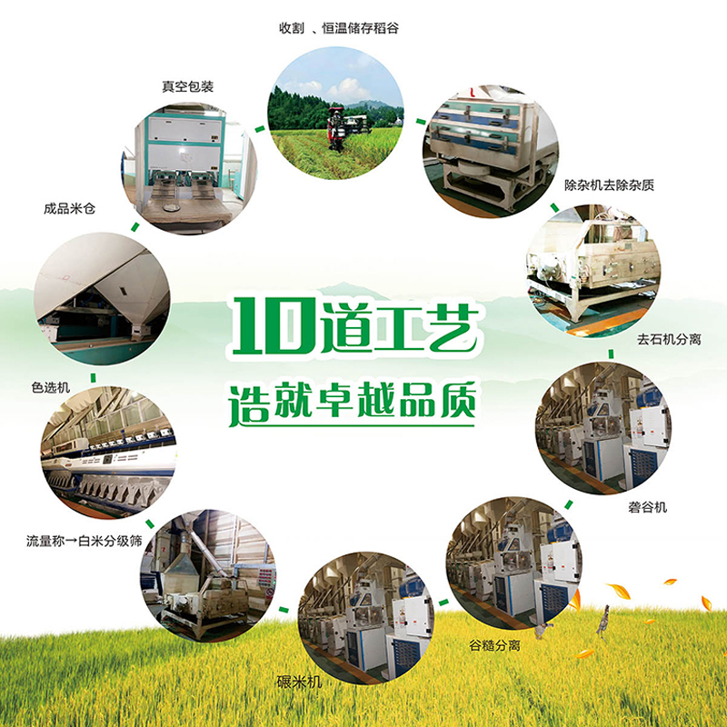 中香泰优香米5KG*8袋猫牙米 丝苗米 当季新米 香甜软糯 煲仔饭专用(新旧包装随机)高清大图