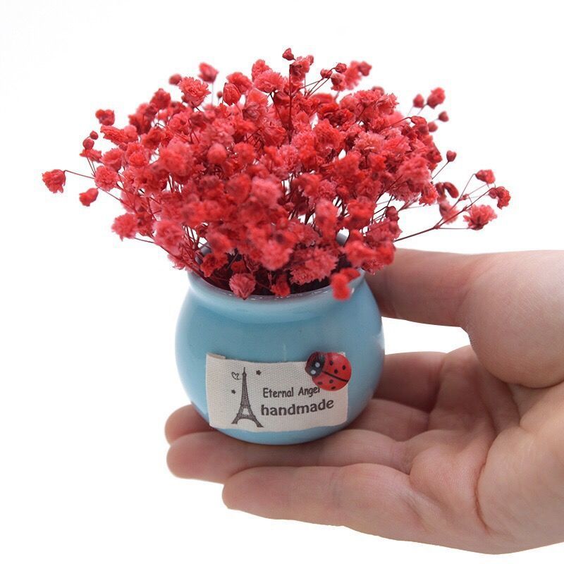 迷你永生花满天星干花小花瓶家居课桌车载盆栽摆件情人节生日礼物 粉+白色