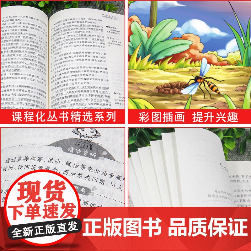 湘行散记+猎人笔记+镜花缘 导读版七年级上中学生阅读丛书套装全套3册 沈从文原著正版 屠格涅夫 初中生课外阅读书籍经典名高清大图