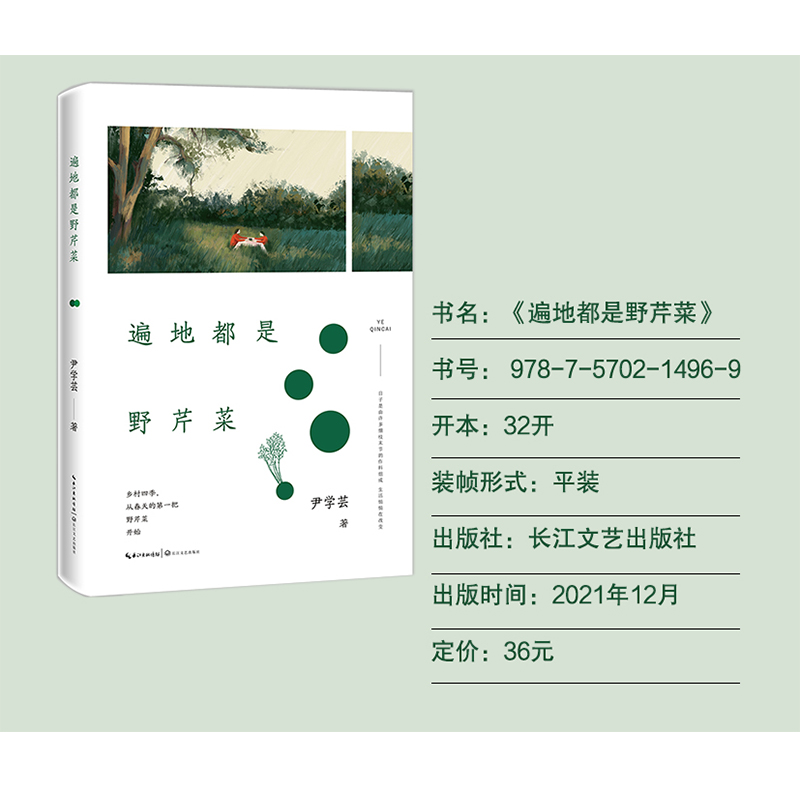 音像遍地都是野芹菜尹学芸 著