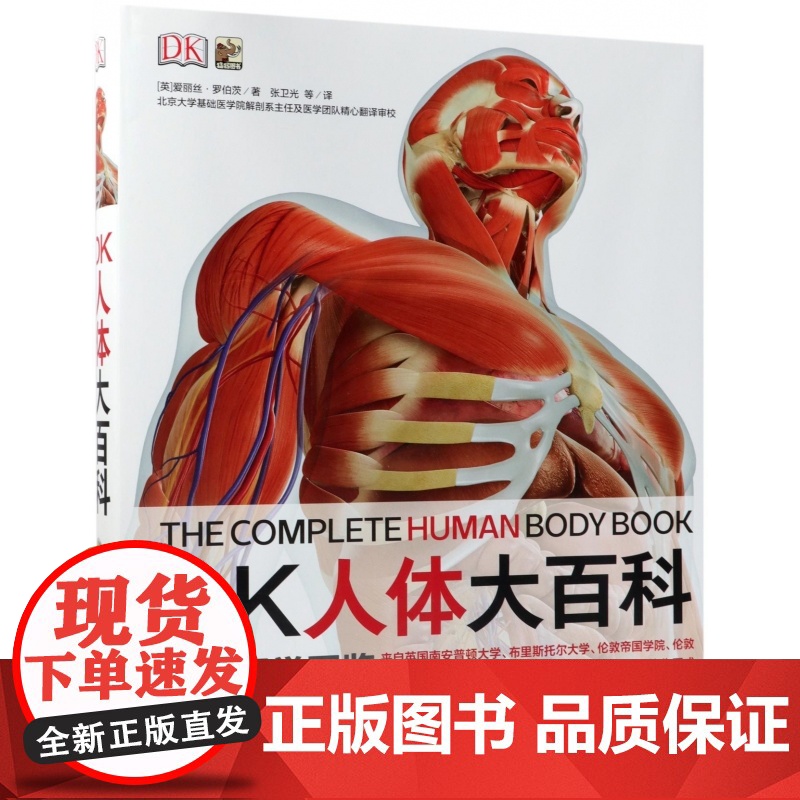 DK人体大百科(精)高清大图