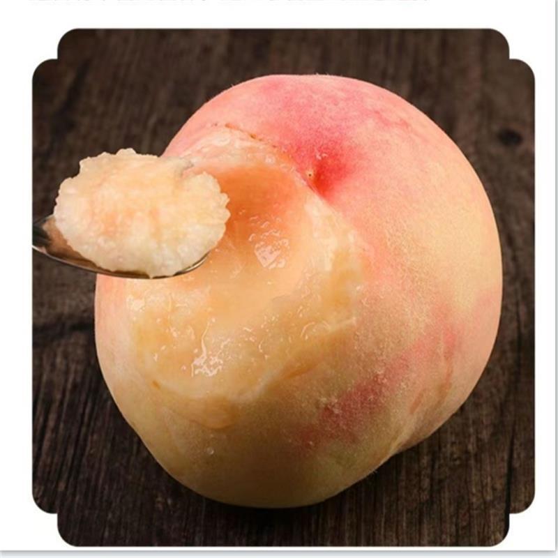 希悦果品桃李类