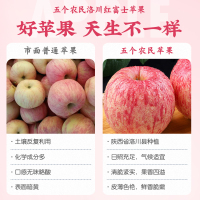 [五个农民]22年新果 陕西洛川苹果红富士礼盒12枚/5斤 单果80-85mm/200g+ 当季新鲜水果生鲜 顺丰速运p