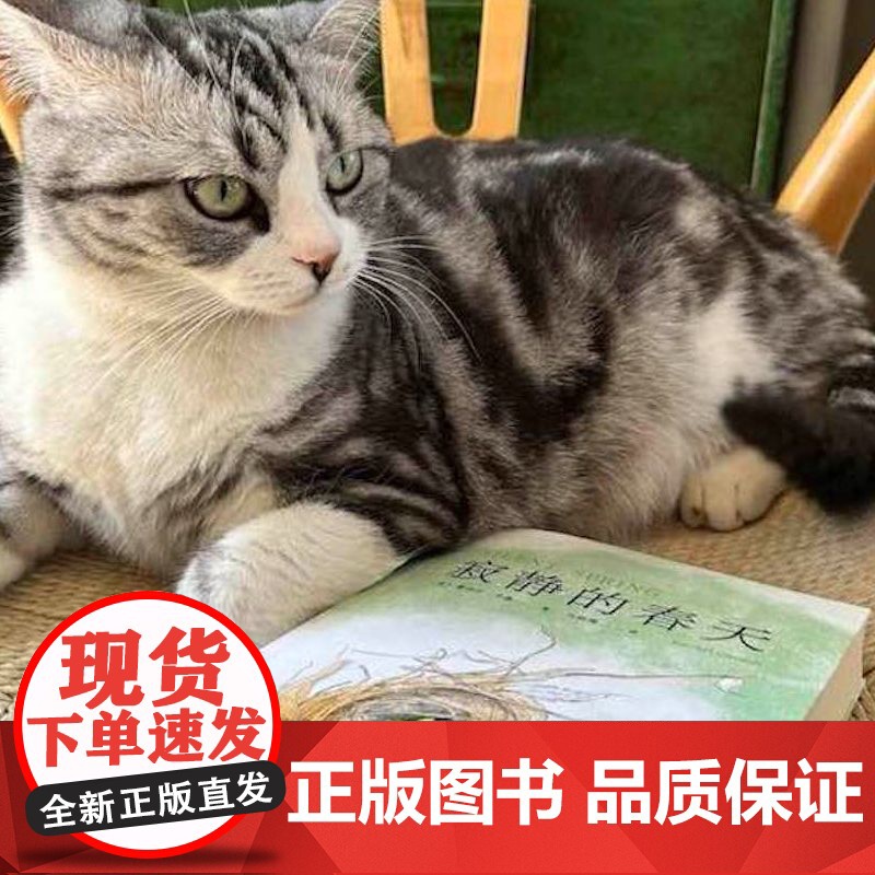 寂静的春天 蕾切尔卡森作品 马绍博译 中文分级阅读九年级课外阅读书目 全译本 科普 文学 环境保护 科普 果麦出品高清大图