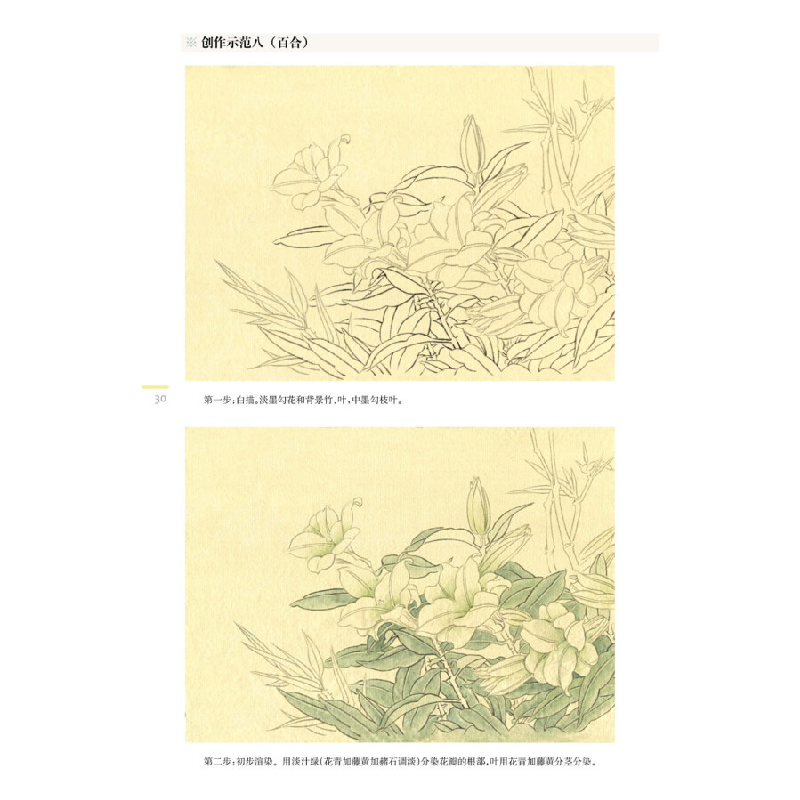正版新书]初学者之友:工笔百花姜冬莲 著9787534430947高清大图