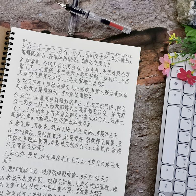 言情小说白日梦我草莓印周边校园甜宠虐心语初中生高中生钢笔字帖 情书体 [套餐一]单本字帖(无赠品 )不推荐