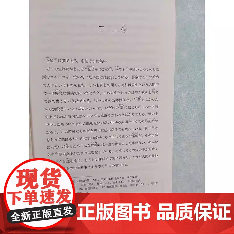日本文学鉴赏 我是猫 日汉对照全译本人间失格 阴兽 河童 阁楼里的散步者 夏目漱石 太宰治 日语读物双语文学图书书籍高清大图