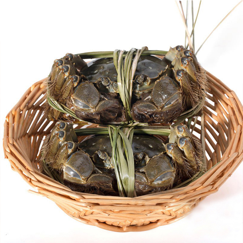 [活蟹] 蟹霸仙 大闸蟹实物 公4.5两 母3.0两 5对装 生鲜礼盒高清大图