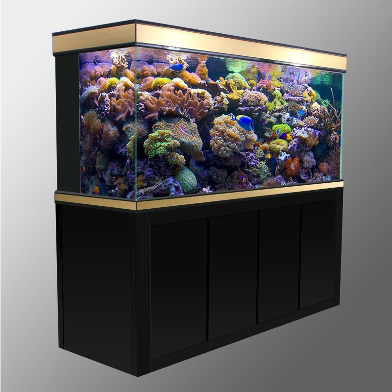 超白玻璃龙鱼缸中大型鱼缸水族箱底滤生态大鱼缸1.2米1.5米高清大图