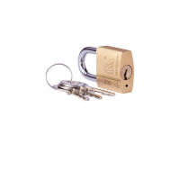 金岳 TR30-1J 铜芯 28*30*13mm 黄铜挂锁(计价单位:个)黄色