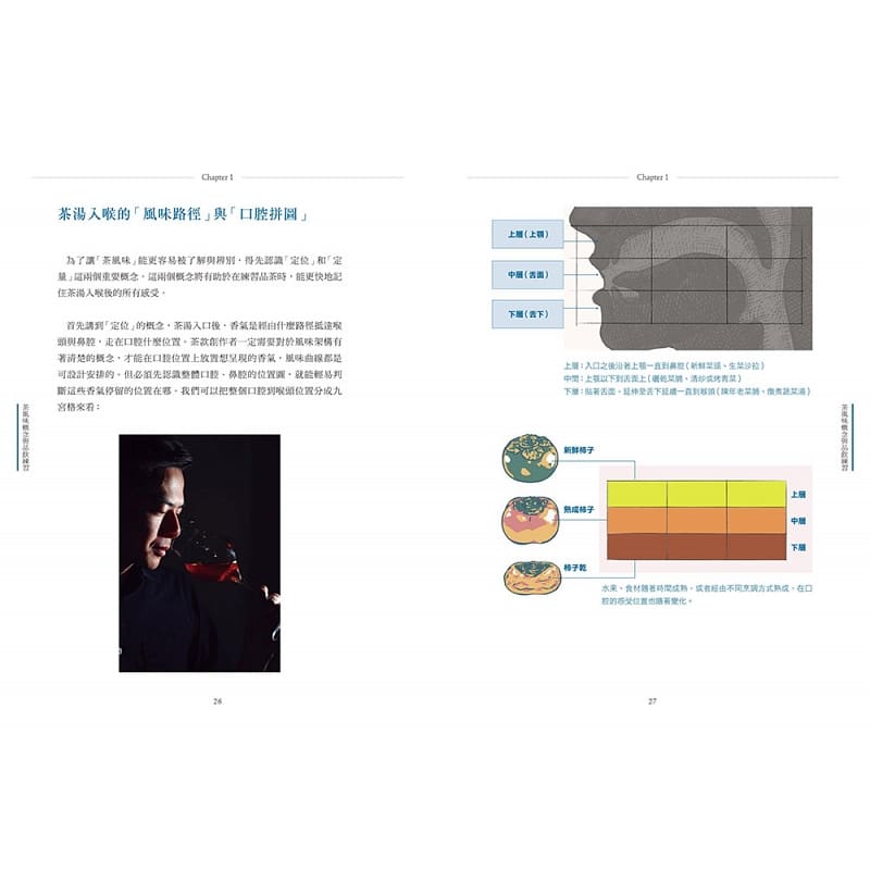 [正版] 蓝大诚 茶风味学:焙茶师拆解茶香口感的秘密,深究产地、制茶工序与焙火变化创作 境好出版 原版进口书 饮食高清大图