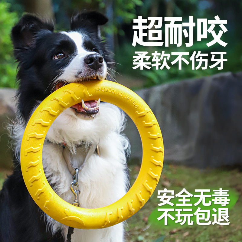 CCKO狗狗玩具大型犬圆环飞盘边牧拉力环磨牙耐咬解闷神器宠物玩具 发射飞盘[直径21cm]2个高清大图