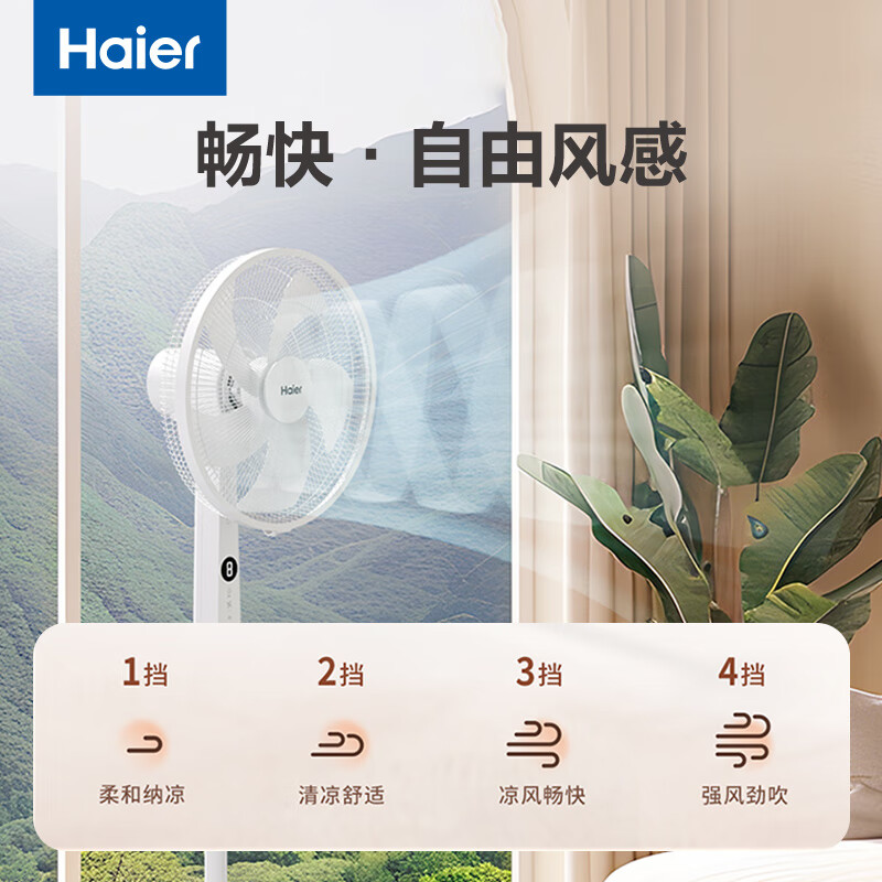 海尔(Haier)落地扇电风扇家用风扇落地扇立式轻音节能40CM大直径大风量4档定时落地扇 HFS-Y4046A 遥控款高清大图