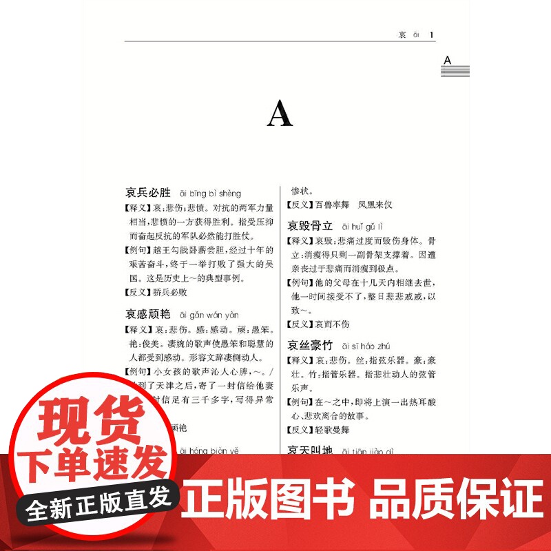 汉语成语词典(大字本)高清大图