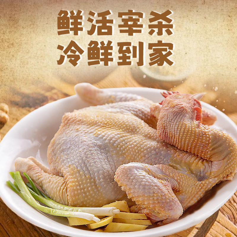 [苏鲜生推荐]三物纪 正宗皖南黄油老母鸡2-2.3斤/只 1只装 新鲜现杀整鸡净膛冷冻竹林慢养鸡走地鸡高清大图