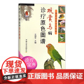 观赏鸟病诊疗原色图谱 王增年 （兽医临床诊疗宝典） 禽病 诊疗 鸟类 花鸟鱼虫 12622