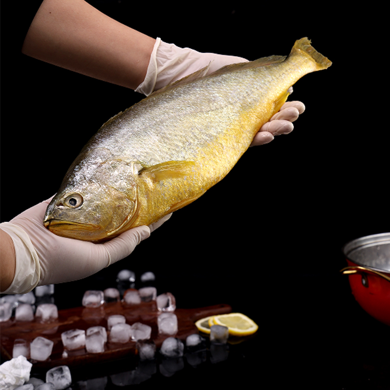 星龙港 1000g 鲜活捕捞大黄鱼礼盒 1条高清大图