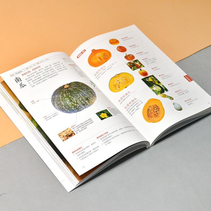 [醉染正版]蔬菜食疗营养速查全图鉴 家常蔬菜科普全书 应季蔬菜指南 养生食谱书籍大全功效食用方法药用 健康饮食 减肥蔬菜高清大图