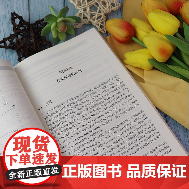 正版 生成语法理论演进研究 梅德明编 上海外语教育出版社 9787544667333高清大图