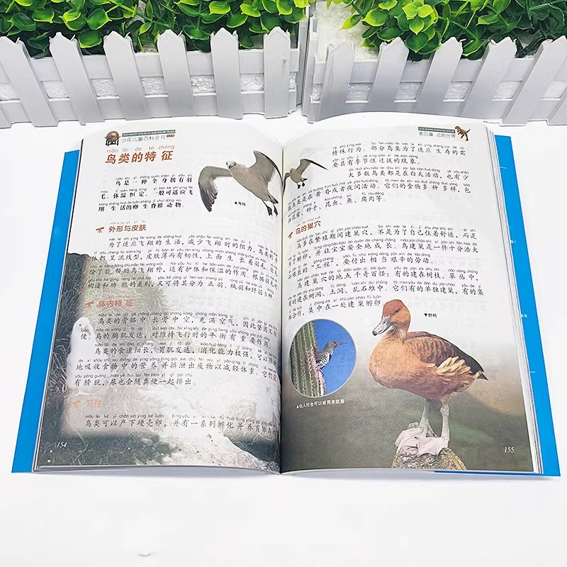 [全套8册]儿童百科大全 [正版]全套8册 少年儿童百科全书小学生昆虫自然植物恐龙中国世界地理兵器大百科科学知识科普类书高清大图