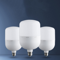 LED灯泡 球泡工厂车间照明 24W 1个