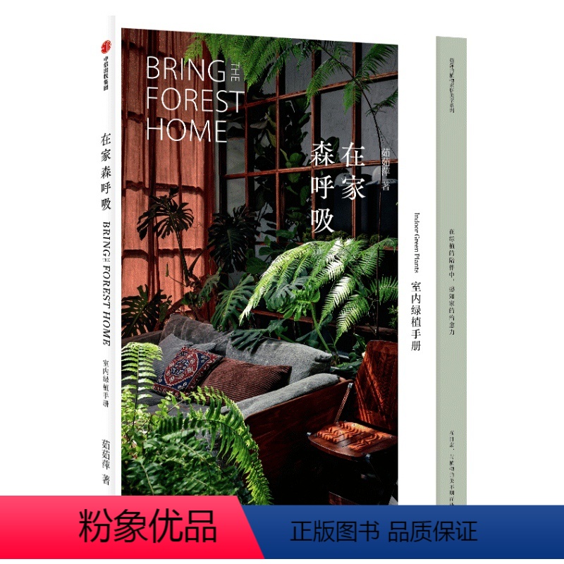 【正版】在家森呼吸 室内绿植手册茹茹萍 著 从家居风格搭配 日常养护到植物手作 打造森林系小家 养花书籍