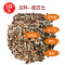 兰花花盆专用盆塑料加厚带侧孔大号兰草仿紫砂透气兰花专用花盆 兰花配方土(2升装) 中号口径16cm高23cm(顺丰)