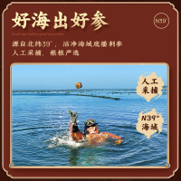 苏鲜生12小时干海参 12-20头以内/30g