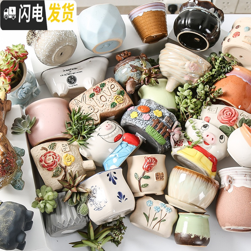三维工匠多肉花盆陶瓷透气大口径家用创意粗陶肉肉植物小盆器 动物大口径随机(4个) 小花盆容器