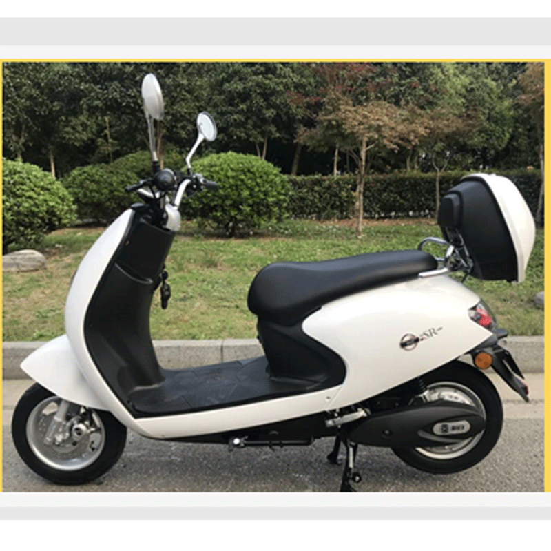 新日龟王款电动轻便摩托车60伏铅酸电池