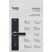 同飞达指纹锁家用智能密码锁房门大门远程防盗门锁木门电子锁