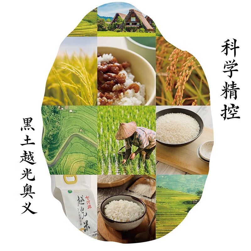 七河源 越光米大米5kg高清大图