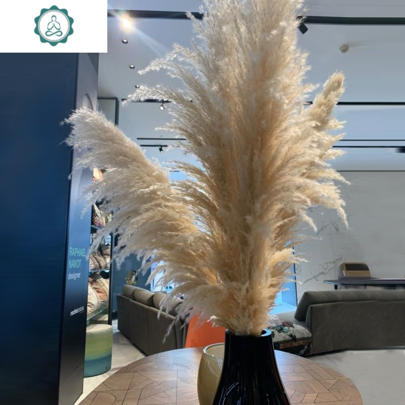 网红芦苇干花装饰插花摆件花束客厅摆设婚庆拍摄道具大穗蒲苇 封后