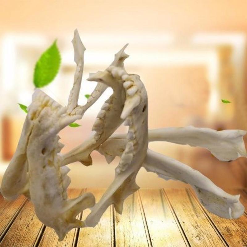 狗牙吊坠狗头骨标本大牙藏獒牙/狼牙项链骨质狗牙齿男1狗下巴下 狗牙吊坠狗头骨标本大牙藏獒牙/狼牙项链骨质狗牙齿男1狗下巴