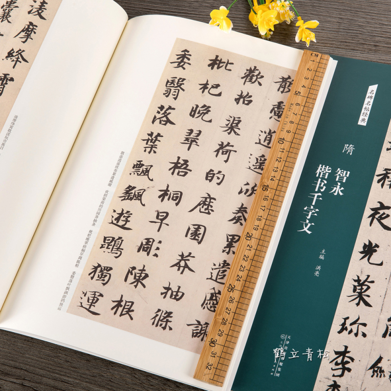 [正版]名碑名帖经典 隋 智永楷书千字文 简体旁注 楷书毛笔书法字帖碑帖