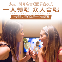 途讯Q12全民蓝牙K歌神器 手机麦克风无线蓝牙家用唱歌儿童话筒 音响一体电脑电视扩音器全能麦安卓苹果通用 插头直径5mm