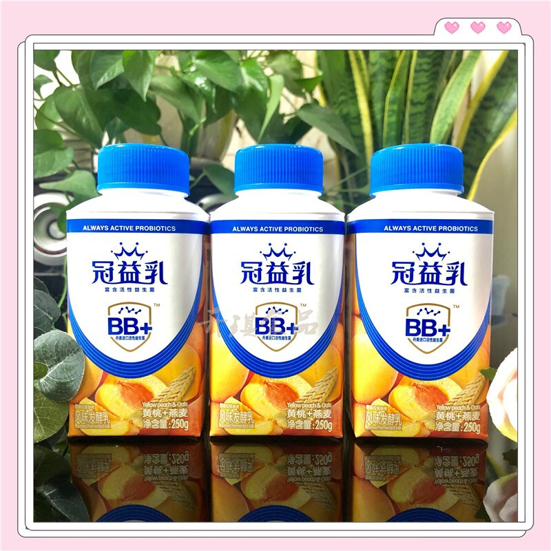 蒙牛 酸 奶(低温)