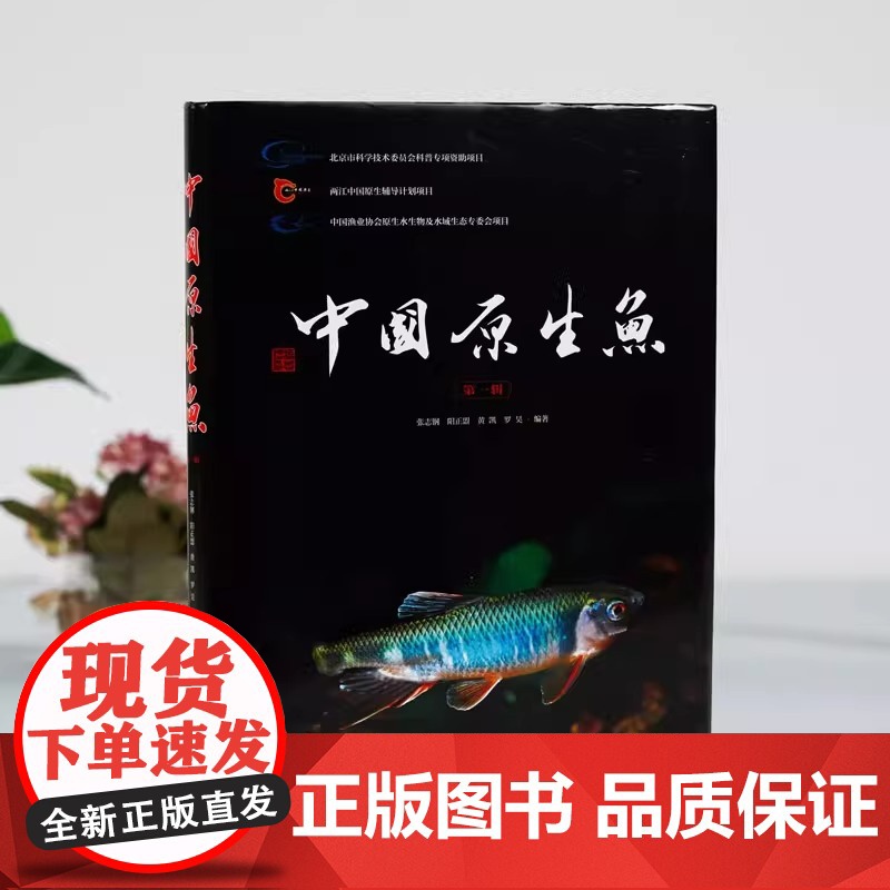 正版中国原生鱼 第一辑 化学工业出版社 观赏鱼原生观赏鱼图鉴书淡水鱼类溪流冷水鱼观赏鱼 鱼类科普书海洋生物知识书籍高清大图