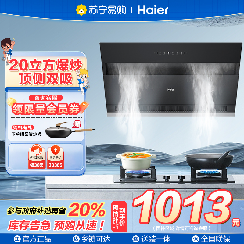 海尔侧吸油烟机CXW-219-E900C6JS