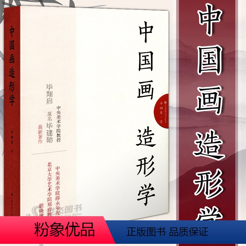 【正版】 中国画造形学 毕翔扉 著 艺术理论中国古代画论以及传统经典文献书籍 江苏美术