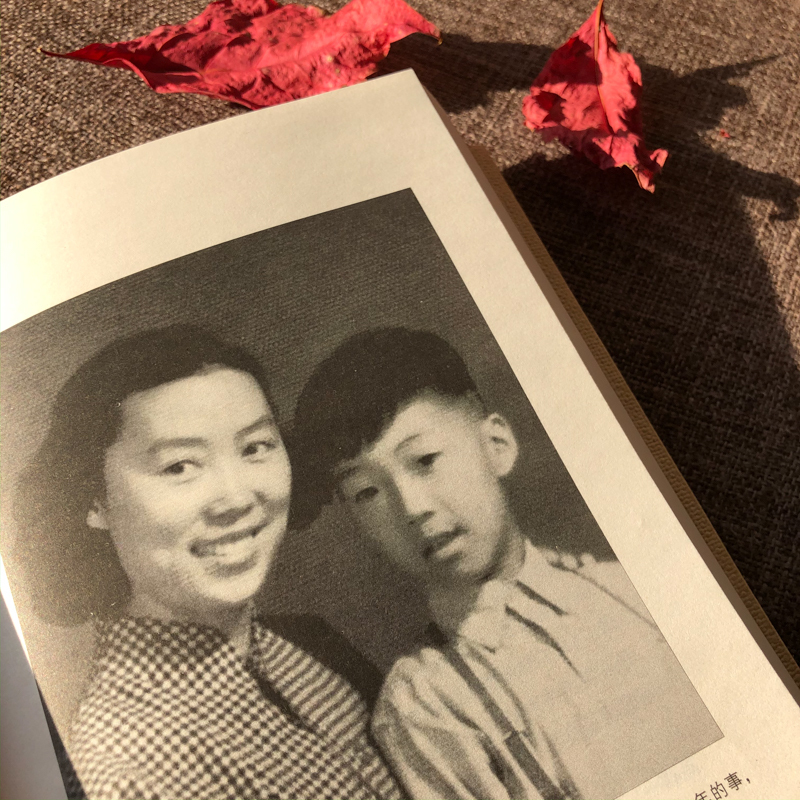 我与地坛 [正版]单本任选 史铁生作品全集散文小说合集 我与地坛务虚笔记病隙碎笔命若琴弦我从未如此眷恋人间 凤凰书店